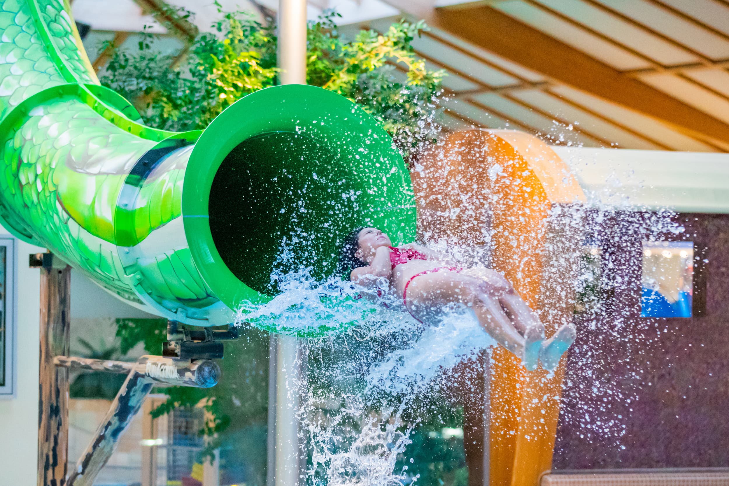 Bildbeschreibung nicht verfügbar