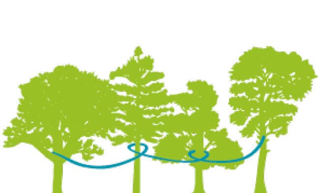 Logo: Klettergarten Wildwald