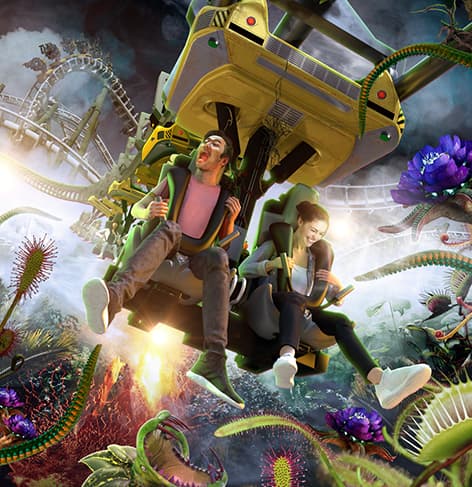 Bildbeschreibung nicht verfügbar