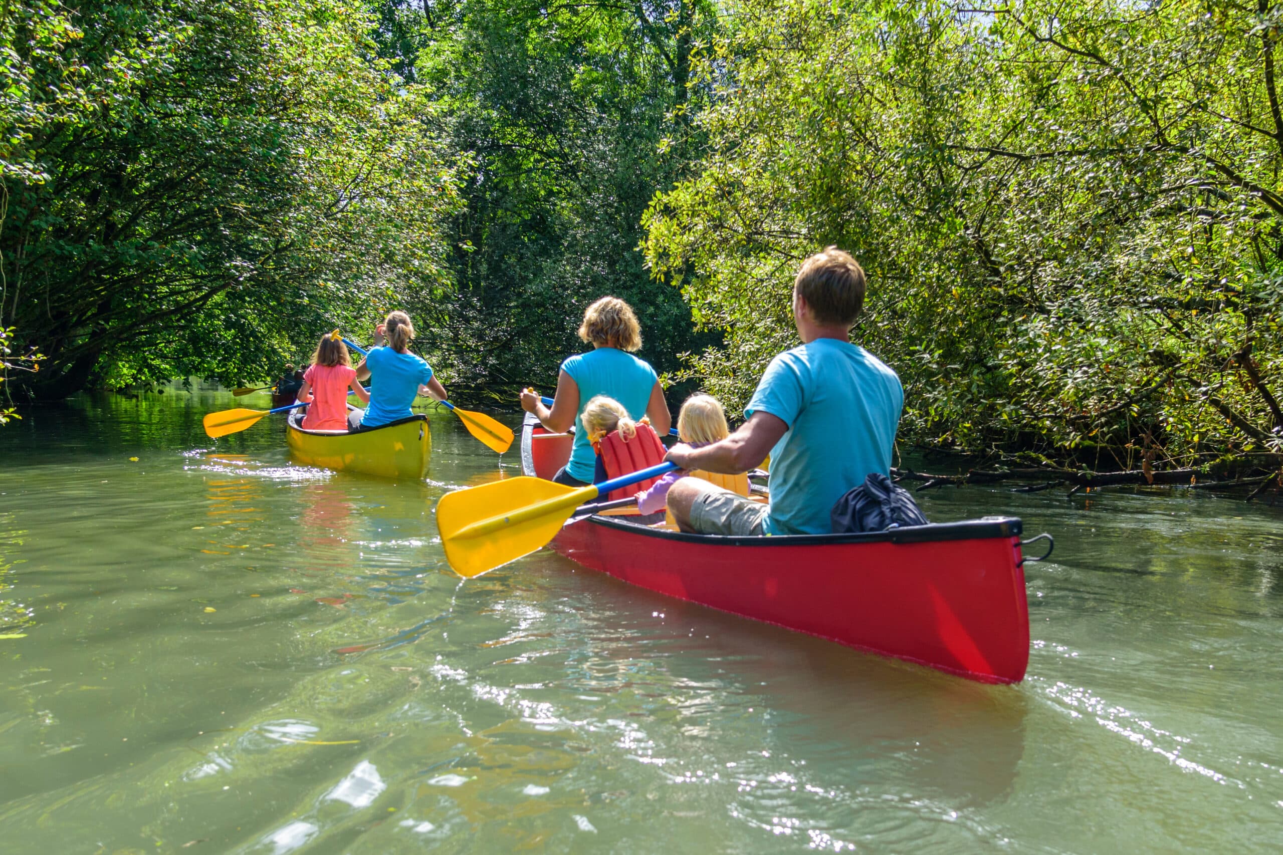 Bildbeschreibung nicht verfügbar